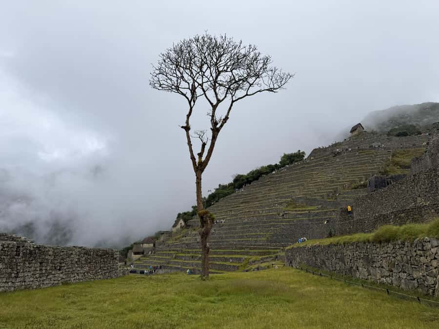 Excursion from Cusco to Machu Picchu + Entrance Tickets Incl - Return to Cusco, train schedules can change the feeling of the day