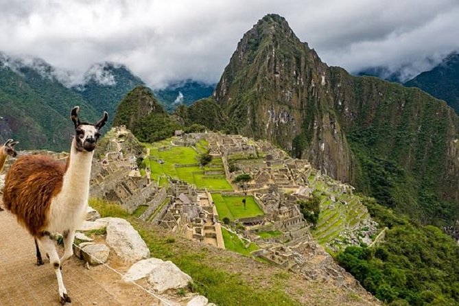 Excursion: Full Day Tour of Machu Picchu from Cusco - The train to Aguas Calientes, EXPEDITION or VOYAGER style comfort