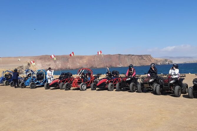 Excursion in Minibuggys in Paracas National Reserve - Key highlights to know before you go