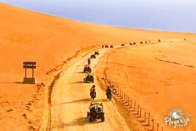 Excursion in Minibuggys in Paracas National Reserve - What the guide actually adds (and why it shows up in the ratings)