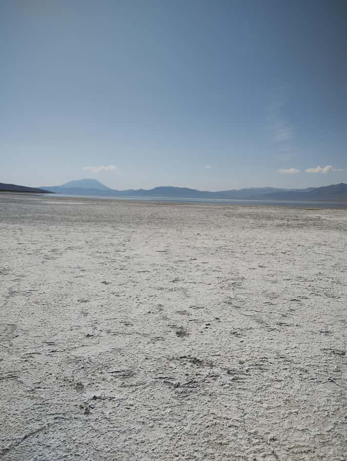 Excursion: Lagoon and National Reserve of Salinas and Aguada Blanca in Arequipa. - Key highlights you will actually feel