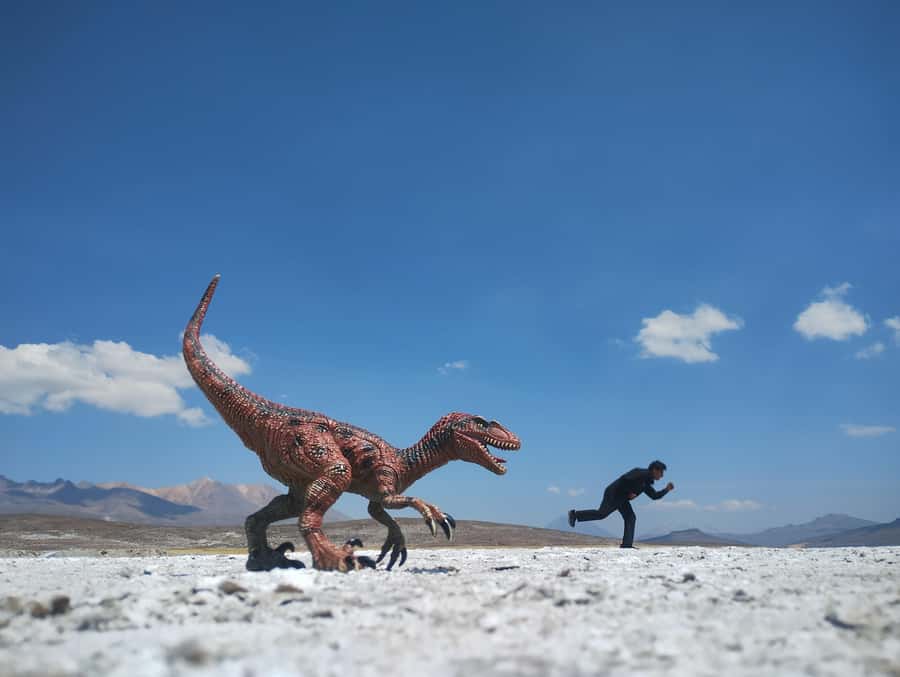 Excursion: Lagoon and National Reserve of Salinas and Aguada Blanca in Arequipa. - Chiguata village and the three-volcano view you can’t fake