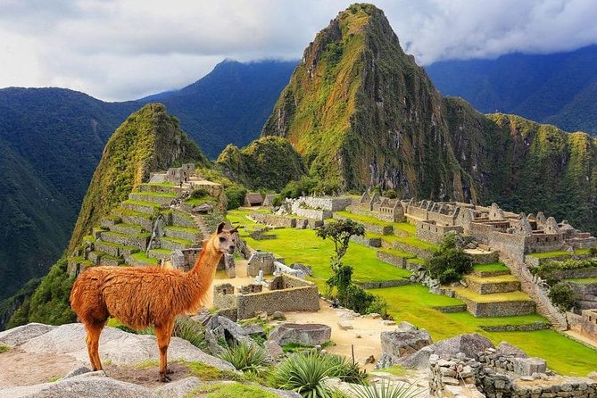 Excursion to MachuPicchu from Cusco with lunch | Private Service| - Key things to know before you go