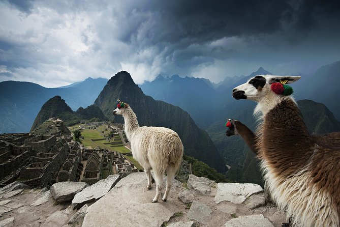 Excursion to MachuPicchu from Cusco with lunch | Private Service| - Cusco to Ollantaytambo: Minivan Ride, Train Setup, and What You Avoid