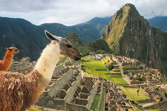 Excursion to MachuPicchu with Train Vistadome Full Day - Who this Machu Picchu Vistadome tour suits best