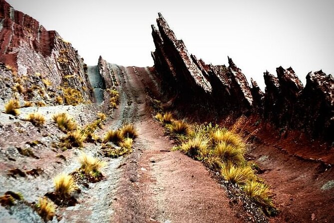 Excursion to Pallay Punchu from Cusco with Coca Ceremony Private. - Pallay Punchu del Apu Taqllo: Where the Ridges Feel Like Another Planet