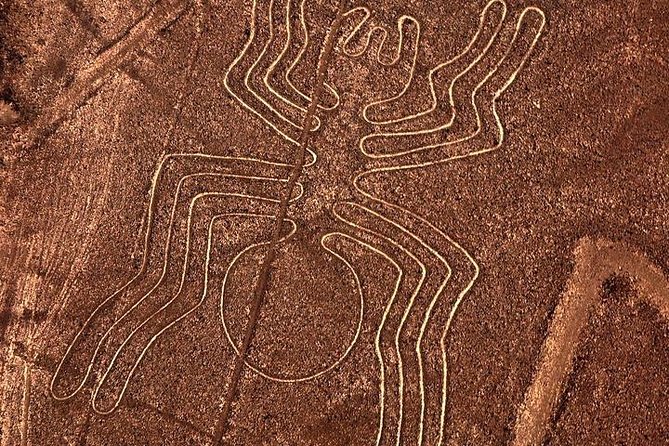 Excursion to Paracas: Huacachina and the Nazca Lines During 2D/1N from Lima - Who This Tour Fits Best (and Who Should Skip It)