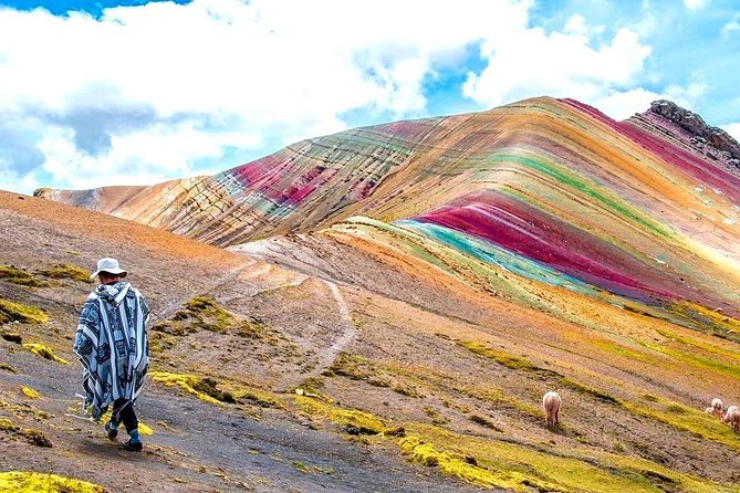 Excursion to Rainbow Mountain Palcoyo from Cusco - Who should book this Palccoyo day trip, and who might want a different plan