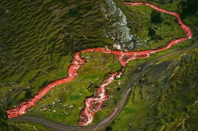 Excursion to Rainbow Mountain Palcoyo from Cusco - Palccoyo at 4,900 masl, why this “gentler” hike still demands respect