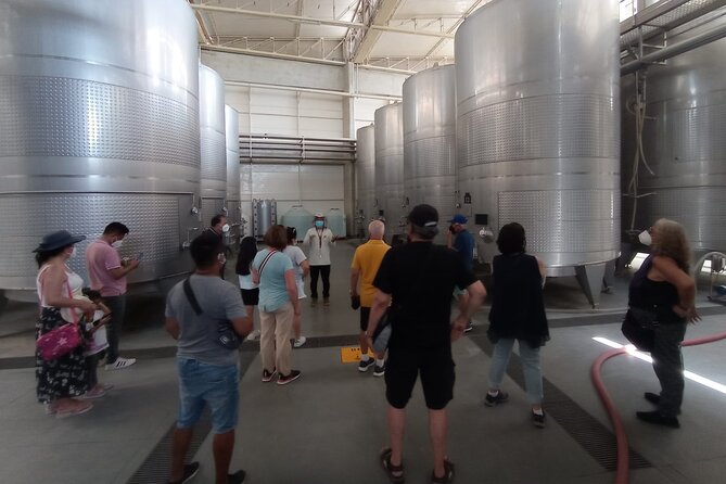 Experience and Tasting of Pisco and Peruvian wine - Stop 3 at Taqara 1856: artisanal production and a taste that keeps its identity