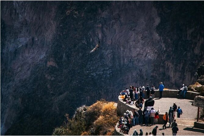 Explore the Colca Canyon From Arequipa 2 Days and 1 Night - Key highlights before you go