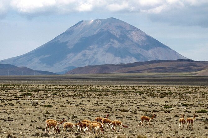 Explore the Colca Canyon From Arequipa 2 Days and 1 Night - Chivay evening: Plaza de Armas and optional Colca dance dinner
