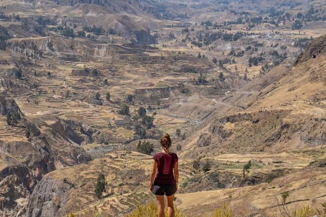 Explore the Colca Canyon From Arequipa 2 Days and 1 Night - Altitude prep at Patahuasi and Abra Patapampa (4,910 m)