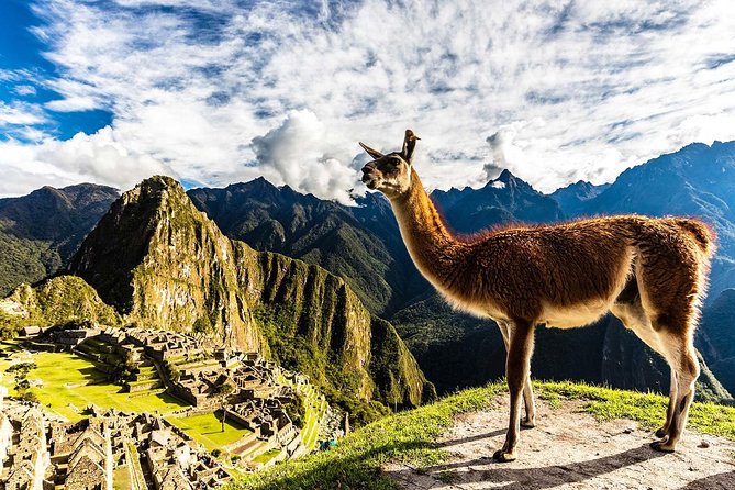 Family-Friendly Machu Picchu Tour from Cusco 08:30 am departure - Inside Machu Picchu: 2.5 Hours With a Professional Guide