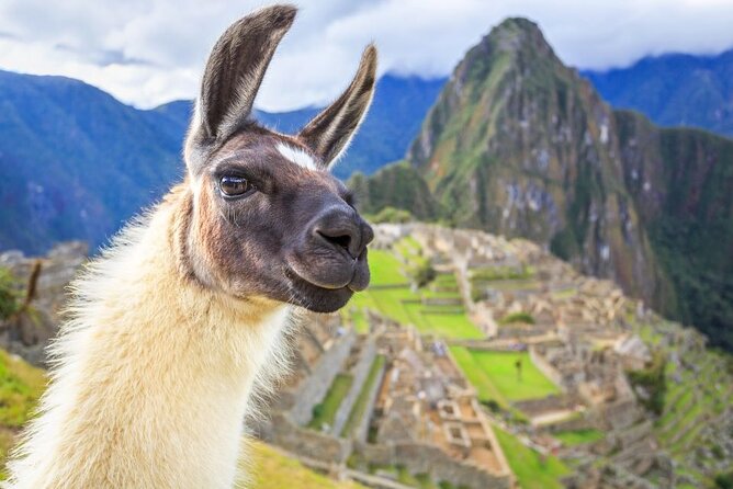 FD Machu Picchu: Tour & Machu Picchu Mountain from Cusco - Key Things You’ll Notice on This Day