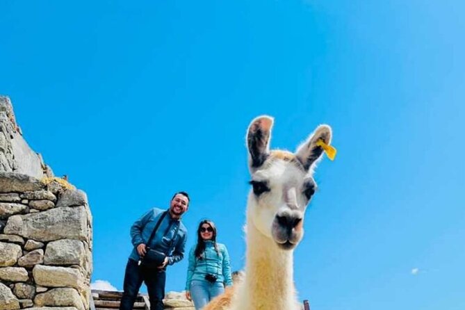 FD Machu Picchu: Tour & Machu Picchu Mountain from Cusco - Price and What Your $328 Covers (and What It Doesn’t)
