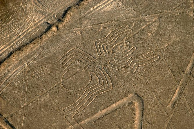 Flight over the Nazca Lines from Nazca (35 min) - Price and Logistics: What’s Included, What’s Not