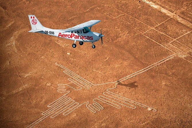Flight Over the Nazca Lines from Pisco + Huacachina Oasis - The best way to use the time in the middle of the day