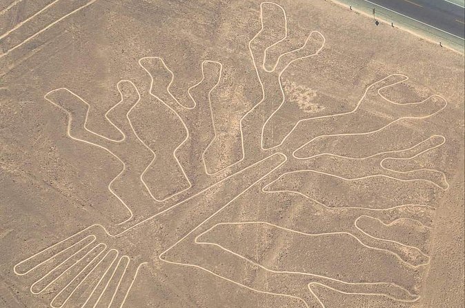 Fly over the Enigmatic Nasca Lines from Ica - Price and value: why $135 can feel like a good deal