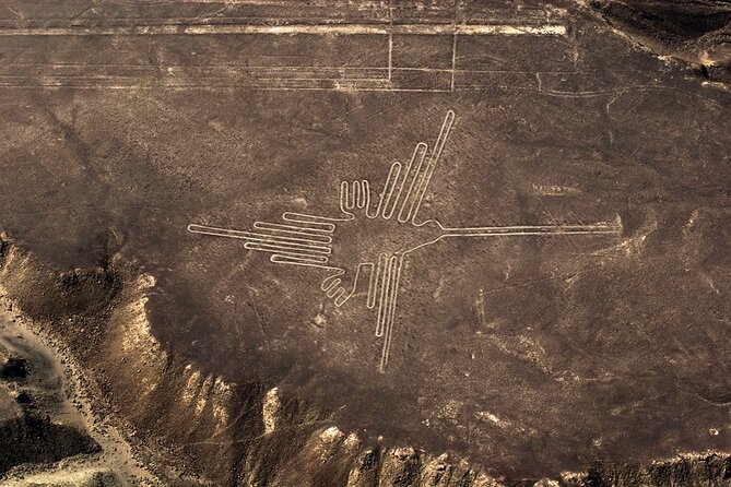 Fly over the Enigmatic Nazca Lines - When to book and how timing affects your options