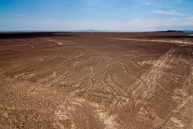 Fly over the Enigmatic Nazca Lines - Who this Nazca Lines flight is perfect for