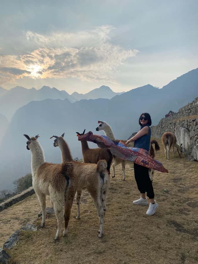 From Aguas Calientes: Machu Picchu guided tour with tickets - Key things that make this Machu Picchu tour worth your time