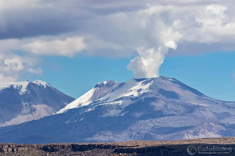 From Arequipa: 1-Day Guided Tour to Colca Canyon with Meals - From volcano viewpoint to Patapampa, early altitude views at 4,910 m