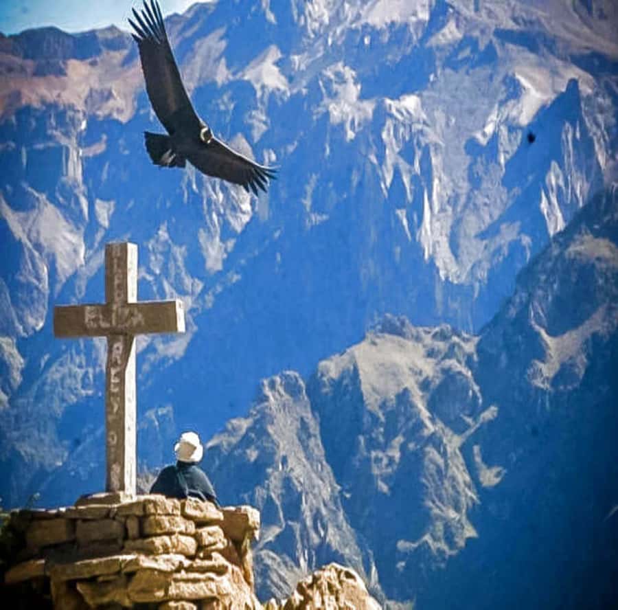 From Arequipa: 2-Day Colca Canyon Tour with Transfer to Puno - Day 2: Cruz del Condor condor watch and the drive to Puno