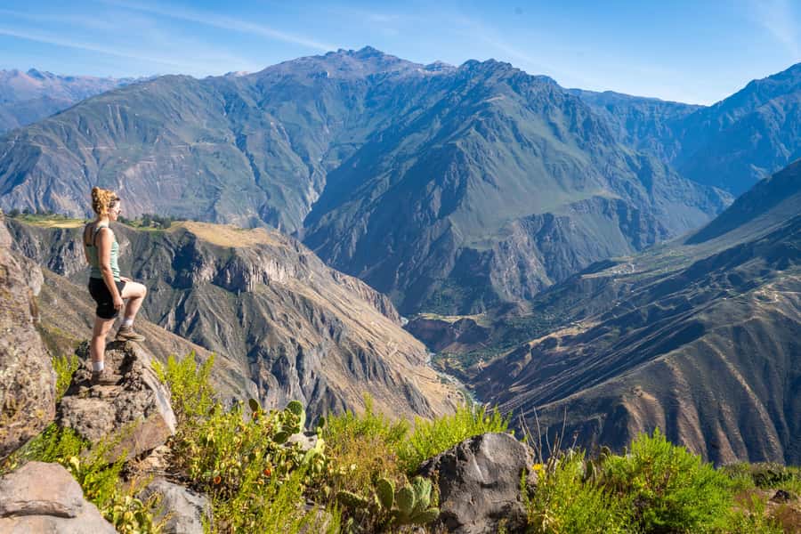 From Arequipa: 2-Day Colca Canyon Trekking Tour - Day one: descending into the San Juan Valley and walking the canyon floor