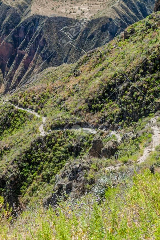 From Arequipa: 2-Day Colca Canyon Trekking Tour - Cabanaconde to the viewpoints: hot springs and pre-Inca terraces