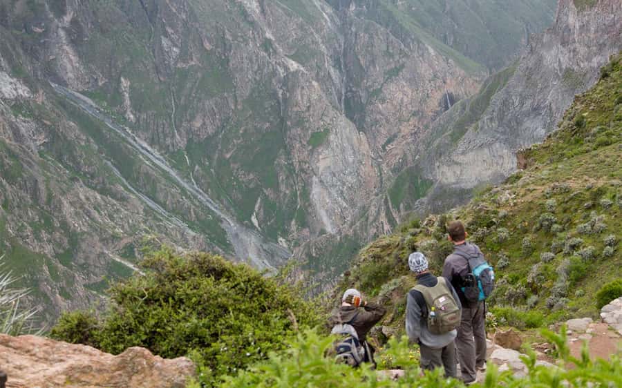 From Arequipa: 2-Day Colca Canyon Trekking Tour - Cruz del Cóndor: photos first, then the guide adds meaning
