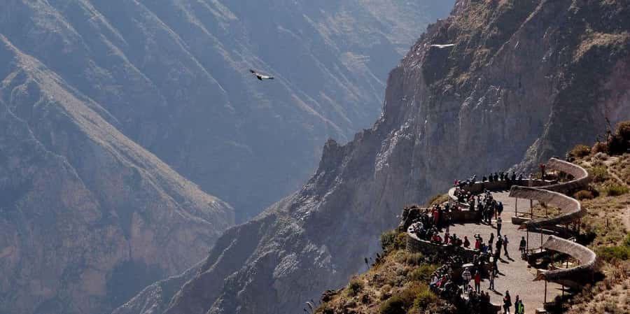 From Arequipa: Colca Canyon all inclusive | Full Day | - The Early Start: 3:00 to 3:30 am Pickup and First Condor Views