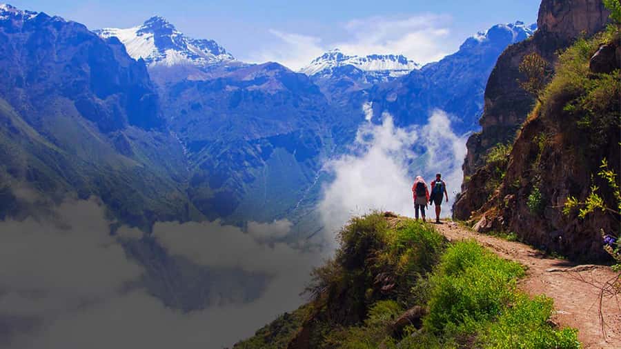 From Arequipa: Colca Canyon Day Trip with Transfer to Puno - The 3:00 am pickup, and why it changes the whole day