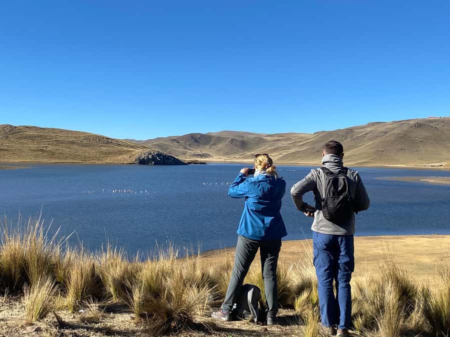 From Arequipa: Colca Canyon Day Trip with Transfer to Puno - The Cruz del Cóndor viewpoint hike: where you earn the best canyon views