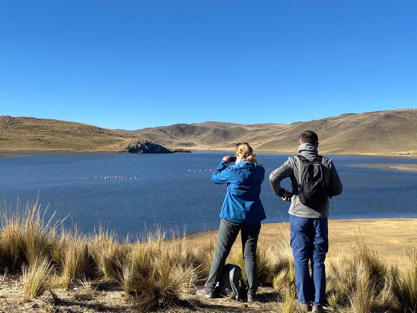 From Arequipa: Colca Canyon Day Trip with Transfer to Puno - Colca River photo stops: the quick taste of the canyon’s depth