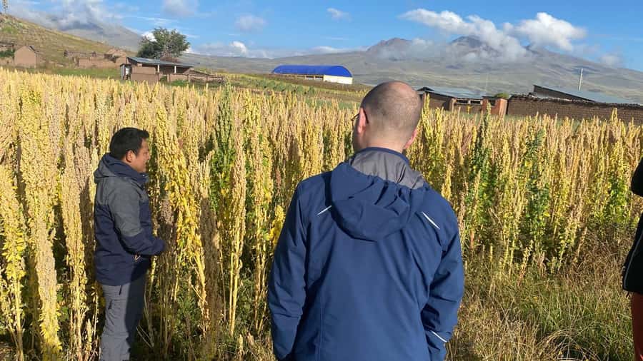 From Arequipa: Colca Canyon Day Trip with Transfer to Puno - Maca, Caylloma: snacks, markets, and a cultural pause that feels hands-on