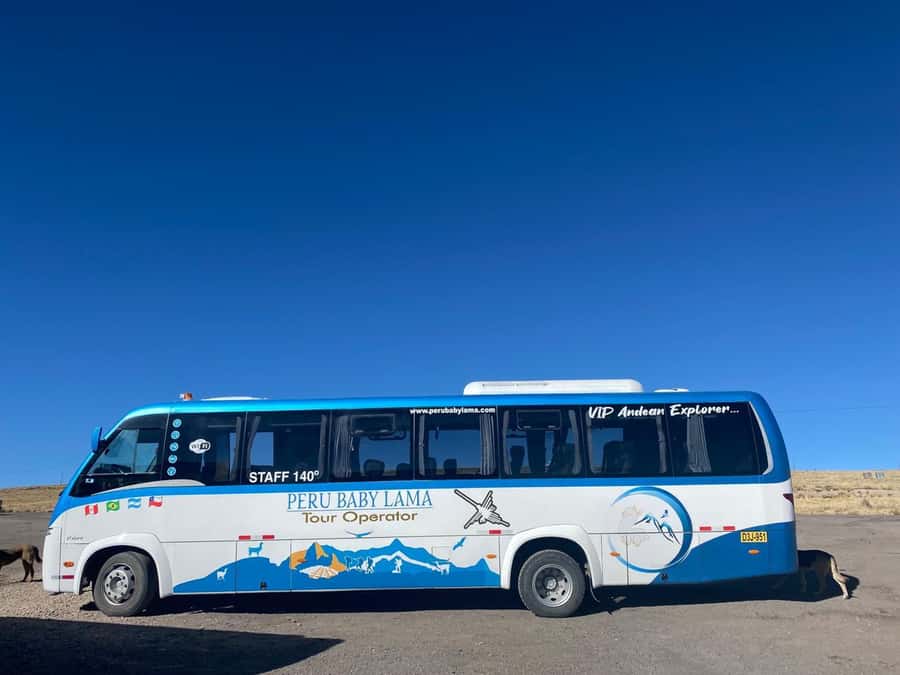 From Arequipa: Colca Canyon Day Trip with Transfer to Puno - Chacapi Hot Springs: volcanic-soaking time after the hike
