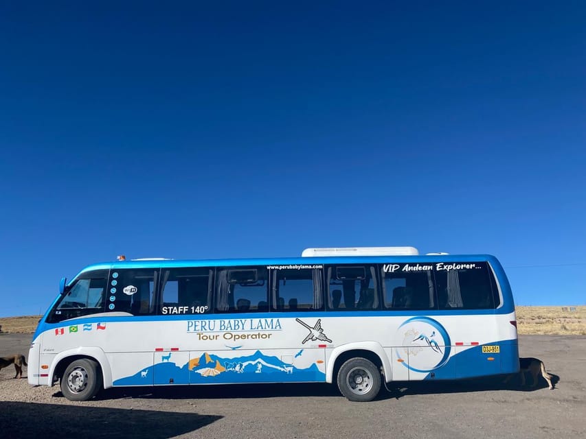 From Arequipa: Colca Canyon Day Trip with Transfer to Puno - Salinas and Aguada Blanca National Reservation: wildlife viewing in short windows
