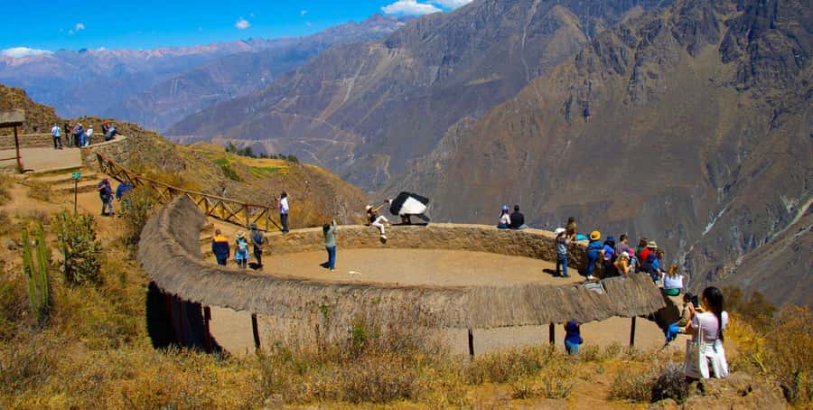 From Arequipa: Colca Canyon Full-Day Tour with Breakfast - Why the Colca Condor Stop Makes This Tour Feel Like More Than Sightseeing
