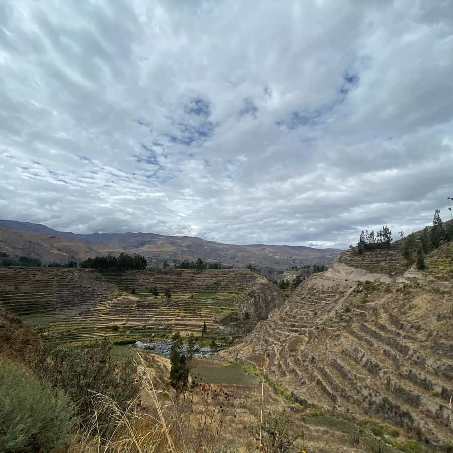 From Arequipa: Colca Canyon & La Calera Thermal Waters - Food in Chivay: Continental Breakfast and Traditional Lunch