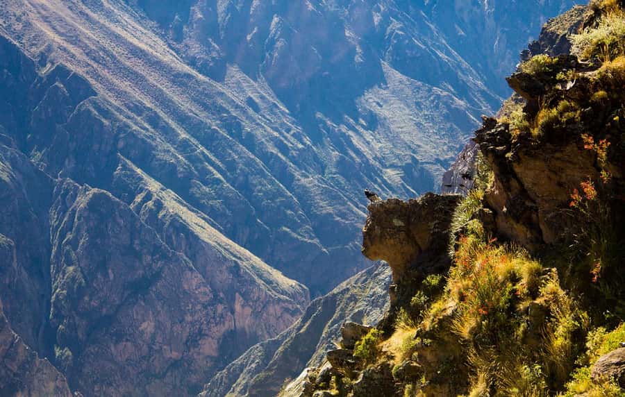 From Arequipa: Colca Valley & Thermal Baths Small-Group Trip - Why This 1-Day Colca Valley Plan Works So Well From Arequipa