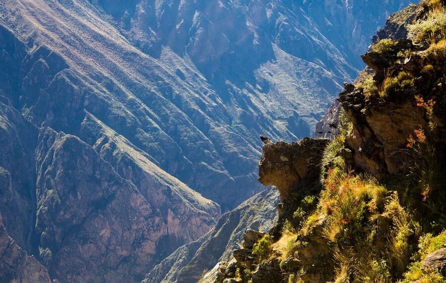 From Arequipa: Colca Valley & Thermal Baths Small-Group Trip - Artisans, Souvenirs, and the Pisco Sour Pause