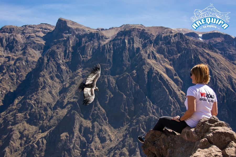 From Arequipa: Colca Valley & Thermal Baths Small-Group Trip - The Very Early Pickup, the Drive, and How to Survive the Cold-to-Hot Shift