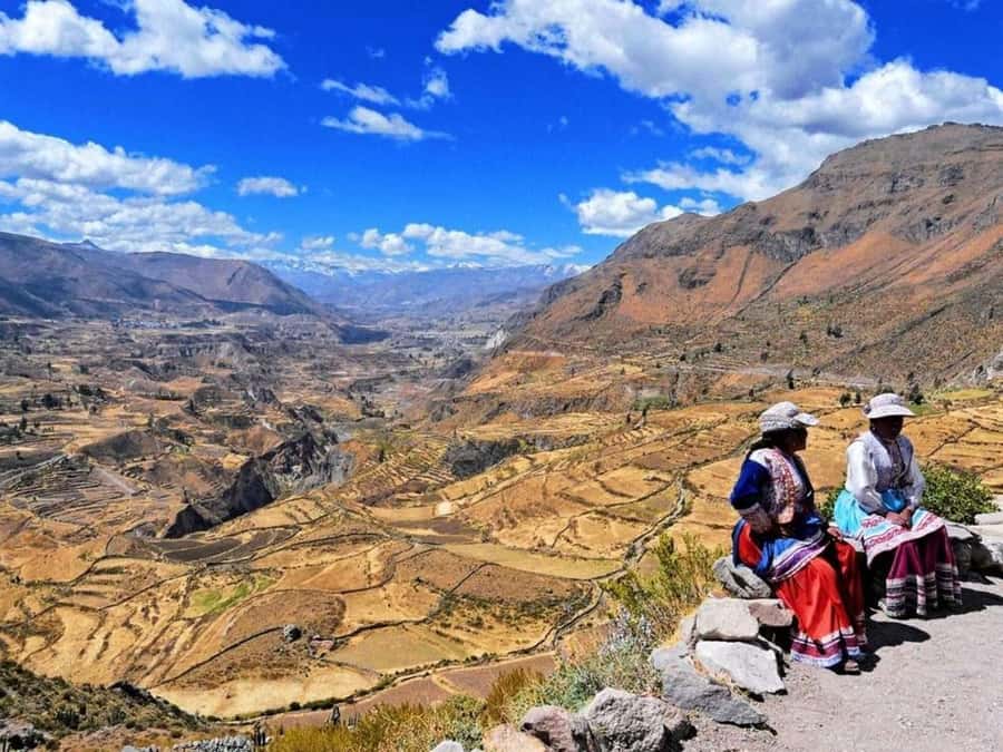From Arequipa: Full Day Tour of Colca Canyon with Meals - On the Return: Volcano Viewpoint, Tocrapampa Wetlands, and Vicuñas in Pampa Cañahuas