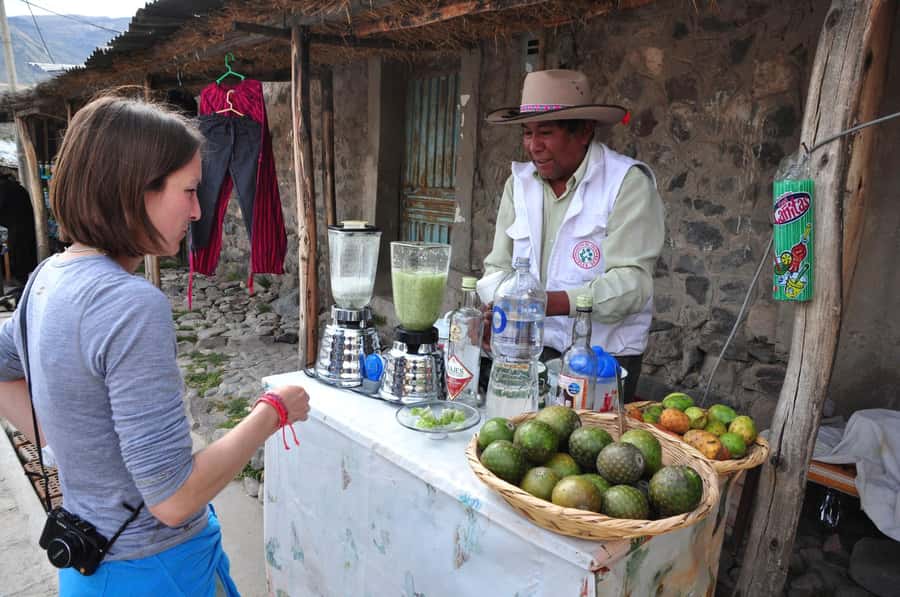 From Arequipa: Fullday Tour Colca Canyon + Transfer To Puno - Colonial Stops: Pinchollo, Maca, and Yanque, Plus Viewpoints With Pre-Inca Clues