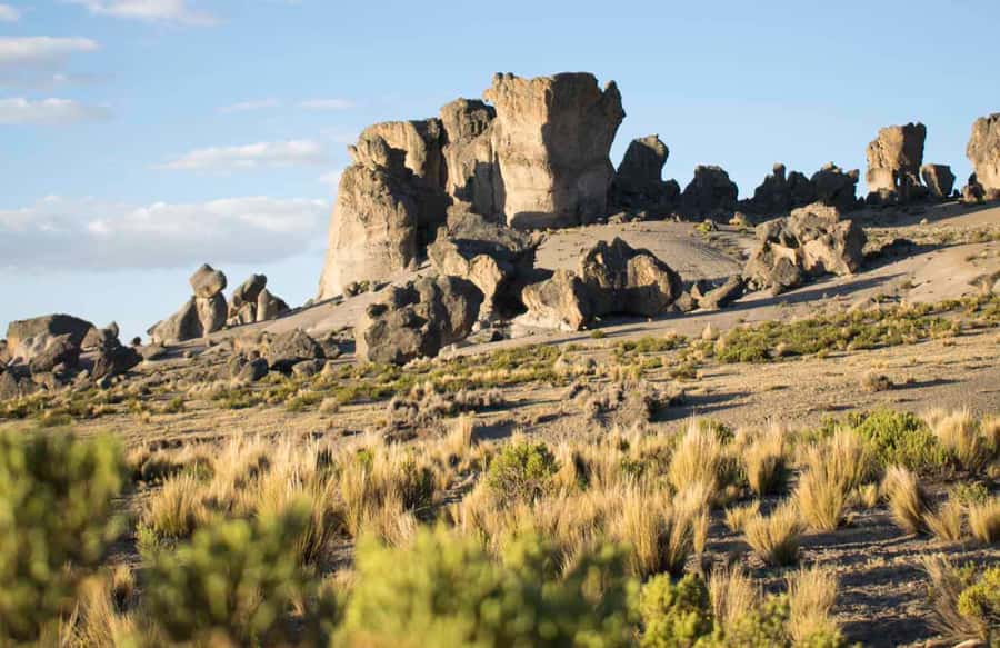 From Arequipa: Pillones Waterfall and Stone Forest Day Trip - Aguada Blanca National Reserve: vicuñas spotting plus a warm coca tea break