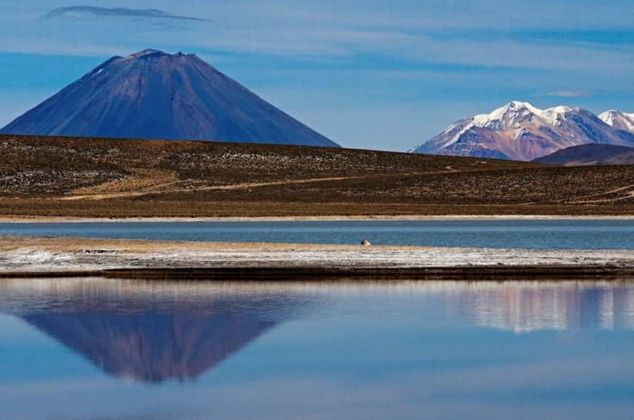 From Arequipa: Salinas Lagoon Full-Day Trip with Hot Springs - Key things to know before you go