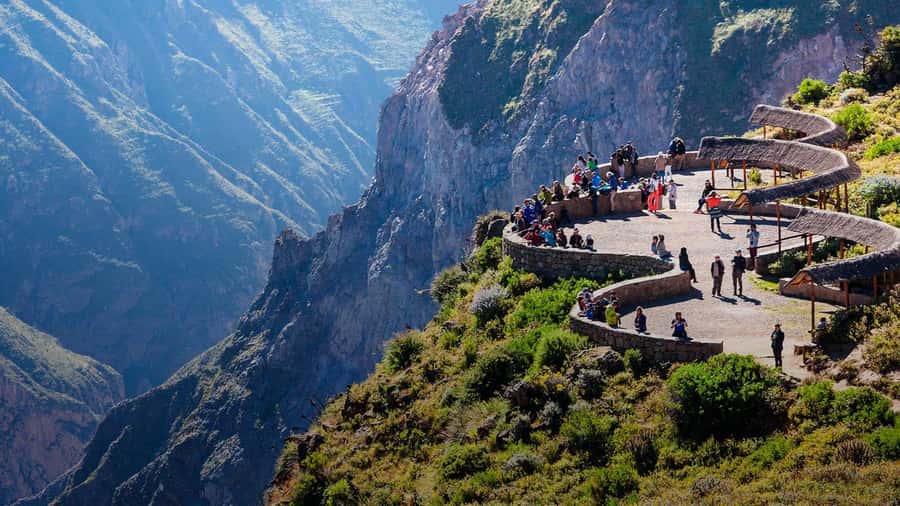 From Arequipa: Tour Colca Canyon 2 Days with End in Puno - Day 2: condors at Cruz del Cóndor and valley viewpoints before you reach Puno