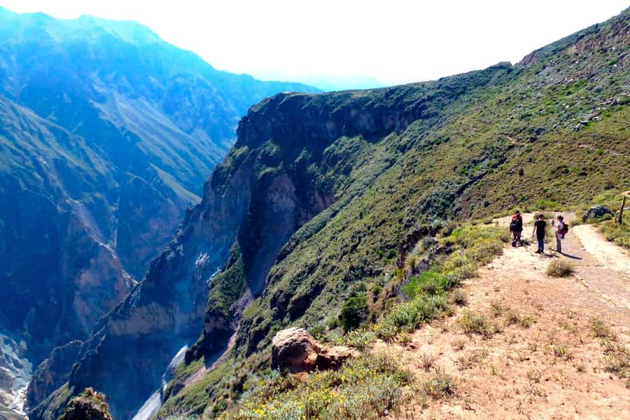 From Arequipa Trek : 2-Days of Hiking in the Colca Canyon - Colca Canyon floor time: what makes this trek different