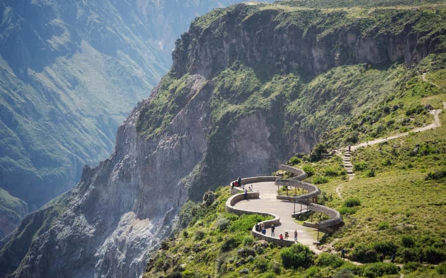 FROM CABANACONDE: VISIT TO THE CRUZ DEL CONDOR VIEWPOINT, DURATION 2 HOURS - Key points you should know before you go